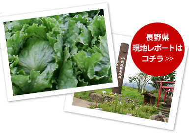 長野県現地イメージフォト
