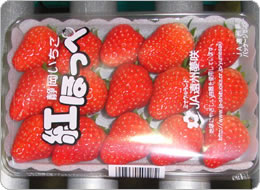 人気が高まる静岡イチゴ「紅ほっぺ」